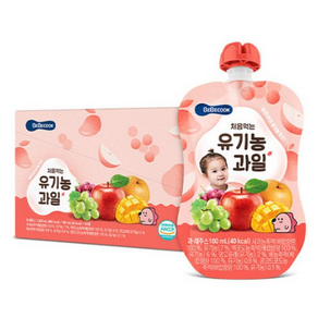 베베쿡 처음먹는 유기농 과일, 100ml, 20개