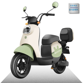 모토에코 출퇴근 전기 오토바이 전동 스쿠터 바이크 배달용 미니 이륜 48V 리튬배터리, 그린, 모토에코 전동스쿠터 22A