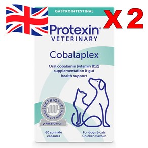 60정 2통 프로텍신 코발라플렉스 B12 B9 엽산 반려견 반려묘 Potexin Cobalaplex Pebiotics, 2개