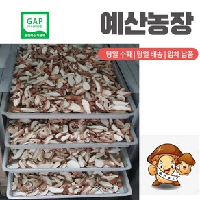 GAP인증 표고버섯 말린 건조 슬라이스 100g, 건조  슬라이스 1봉100g, 1개