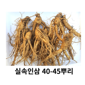 못난이 파삼 세척못난이40-50뿌리 파삼, 700g 40-50뿌리세척 (x)+ 못난이대추 20g, 1개