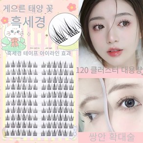 CHENGSI 속눈썹 속눈썹 스티커 내추럴 속눈썹 연장 10+11+12mm 10줄 120개의 대용량 블랙 라인