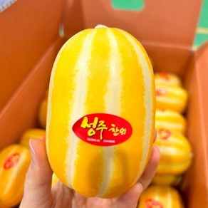 [꼬미농산]성주 가정용 꿀 참외 고당도 참외, 1개, 2kg랜덤&소과