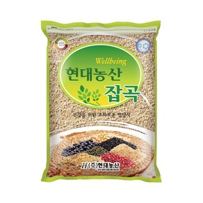 현대농산 국산 할맥 1kg 보리, 1개