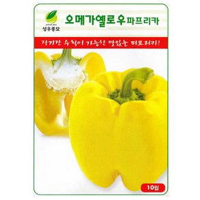 오메가 옐로우 파프리카 씨앗 10립 파프리카씨 종자 키우기, 1개