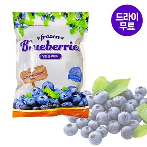 달디단마켓 G. 제니코 블루베리 1kg(드라이) 토핑 냉동과일 냉동간식, 1개