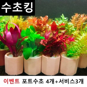 수초맛집 수초킹 키우기 쉬운 랜덤포트수초+ 서비스(모스볼 마리모 부상초 비료 개운죽 피규어 등), 1개