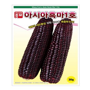 옥수수씨앗 30g 흑마1호 흑찰옥수수 종자 (흑찰옥수수 30g 흑마1호 옥수수 종자), 1개