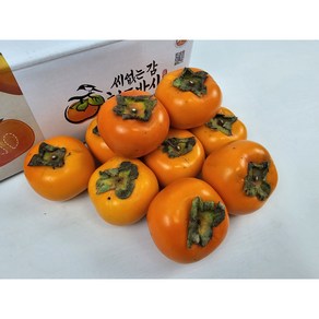 씨없는 감 청도반시 홍시, 1박스, 2kg(중,13-14입)