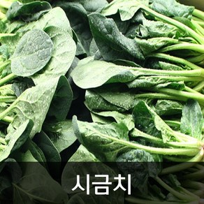 약수농장 시금치 4kg