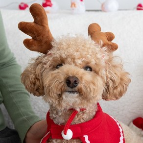 고양이 강아지 크리스마스 모자 산타 루돌프 귀도리 바라클라바