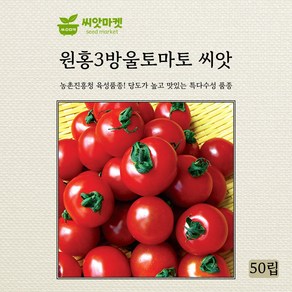 다농 원홍3 방울토마토 씨앗 50립, 1개