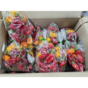 미니파프리카 1봉지 [240~300g]