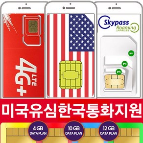 미국유심 미국유심칩 10gb 쓰리심 데이터 전용유심 at&t tmobile 스카이패스로밍, 1개, 30일, 3GB/month, 택배수령