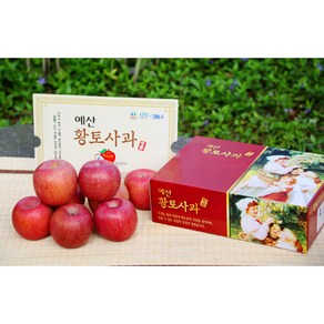 [해가준] 예산황토사과 2kg(9-10과)