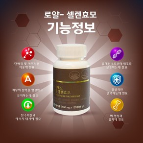 로얄셀렌효모 550mg (240정), 1개, 240정