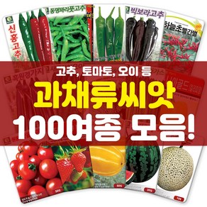 각종 과채류 씨앗 모음 고추 피망 딸기 수박 토마토 씨 종자, 79-토마토신러브리20립, 1개