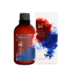 더클래스 불렛 초고속 코팅 물왁스 815 슬릭에디션 300ml, 1개