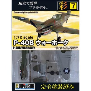 DOYUSHA 도유샤 P-40B 워호크 [채 시리즈 No.71 / 72 스케일 도장 완료 / 미조립 플라스틱 모델]