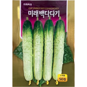 백다다기 오이씨앗 50립 백침오이 백오이 마디오이 조선오이 미래종묘 빠른배송, 1개