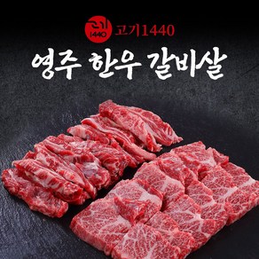 [고기1440]영주 한우 갈비살 (냉장) 구이용, 1++등급, 1개, 300g