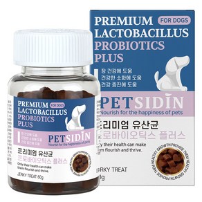 펫시딘 강아지 영양제, 장건강/유산균, 60g, 1개