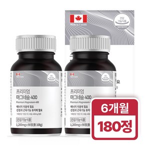 힐링팩토리 프리미엄 마그네슘 400, 2개, 1200mg