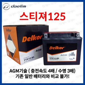 대림 스티저125 AGM 배터리 YTX12-BS DTX12, 1개