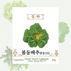 심따 봄동 씨앗 20g, 1개