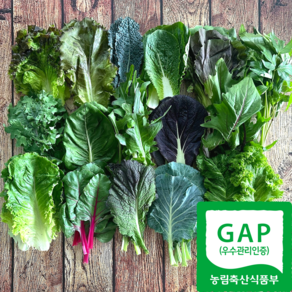 모듬 쌈채소 1kg 양평 지평농부 농장직송, 1박스