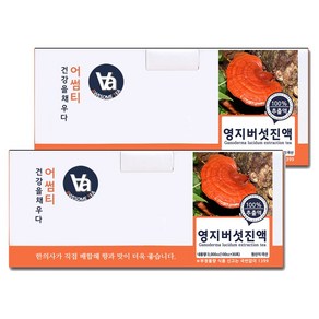 중저온추출 16시간 국산 영지버섯 즙 진액, 100ml, 60개