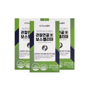 관절 연골엔 프롬 바이오 보스웰리아 효능 이병헌 보스벨리아 보스웰니아 웨리아 웰릭산 뼈 건강 케어 에도움 남성 여성 부모님 노인 선물 BOSWELLIA, 3박스, 30정