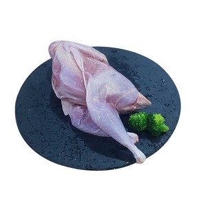(배터짐) 영양만점 토종 꿩고기 (장끼) 한마리 (일요일&당일발송), 1개