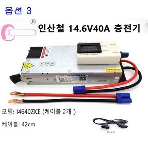 12V 40ah 한전충전기 리튬인산철 배터리 파워뱅크 스마트충전기, 옵션 3, 1개