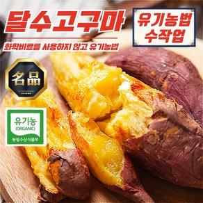 무안 유기농 햇고구마 꿀 달수고구마 KG 별 옵션, 1개, 보통 10kg