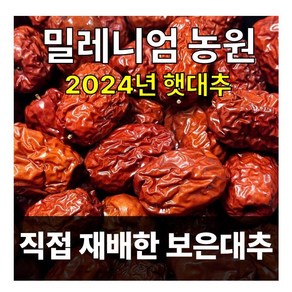 2024/보은대추/밀레니엄 농원/대추/건대추(1kg), 1개, 1kg/건22mm