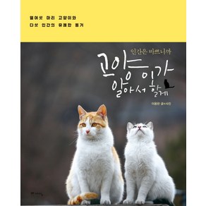 인간은 바쁘니까고양이가 알아서 할게:열여섯 마리 고양이와 다섯 인간의 유쾌한 동거, 위즈덤하우스(예담), 이용한