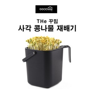 캣킨 집에서 키우는 꾸밈 사각 콩나물재배기+콩30g, 1개