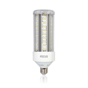 포커스 LED 보안등 파워램프 30W 투명, 1개, 주광색