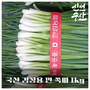 국내산 노지 햇 쪽파 김장용 실파 잔파 1단 1kg 파김치용 [원산지:국산], 1개