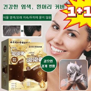 1+1 식물 추출물 버블 염색약 거품염색약 새치염색약, [1+1]흑갈색+밤색, 2개