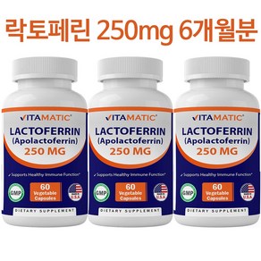 락토페린 250mg 6개월분 180베지캡슐 비타매틱락토페린, 1세트, 180정