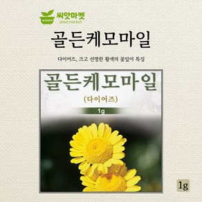 다농 골든케모마일 씨앗 1g, 1개