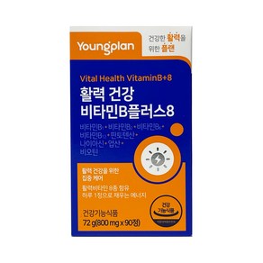 영진약품 영플랜 활력 건강 비타민B 플러스8 800mg x 90정 판토텐산