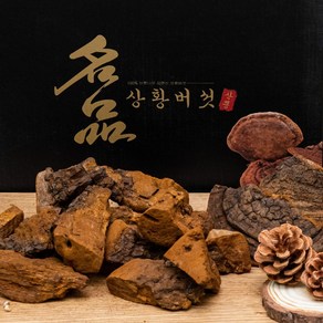 60년산 500g 상황버섯 캄보디아산 자연산 상황버섯 원형발송 효도선물 고급포장, 1개