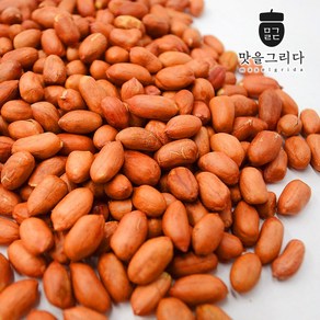 맛을 그리다 볶음 땅콩 알땅콩 1kg 24년 햇땅콩