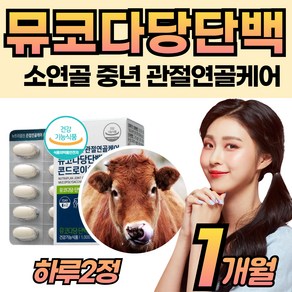 지친 하루 관절 소연골 콘드로이친 뮤코다당담백 콘도로친 뼈건강 복합 캐어 비타민디 케이 식약청인정 보조제 유단백가수분해물 50 60 70 80 세 대 부모님 어머니 아버지, 1개, 60정