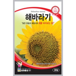 해바라기 30립 세계종묘 해바라기 꽃씨앗, 1개