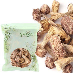 동의한재 국산 아가리쿠스 버섯 신령버섯, 100g, 1개