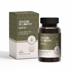 웰빙곳간 프리미엄 보스웰리아 MAX 1000mg 120정, 1개